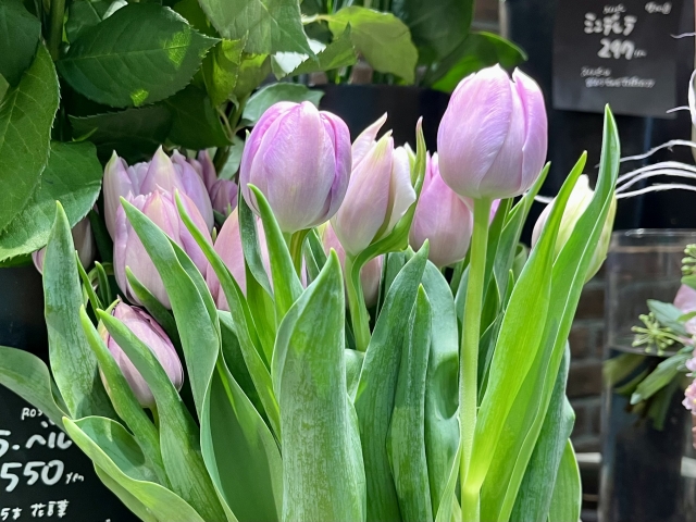 花屋に特有の内装デザインとは？