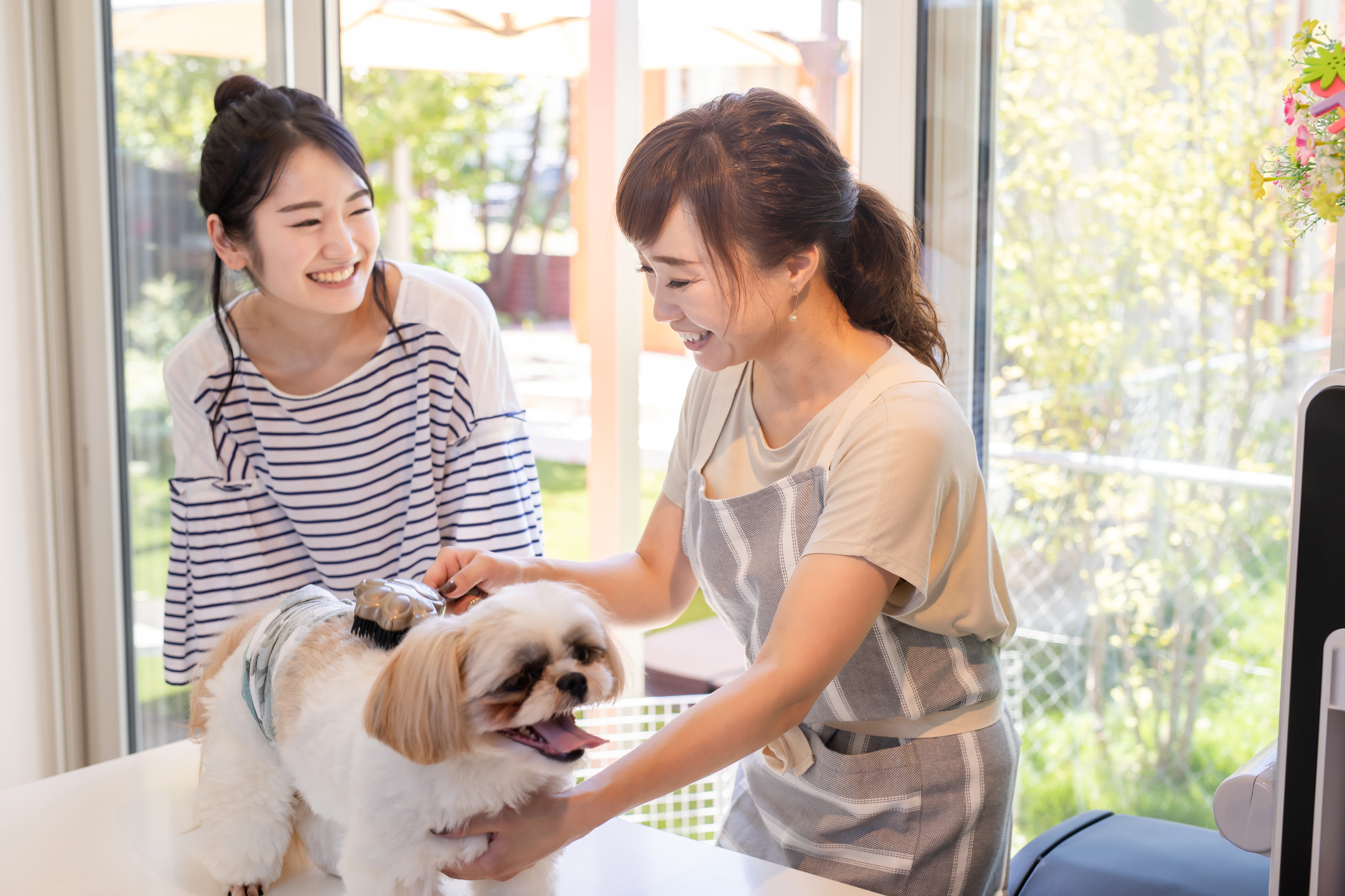 【事例】ペットサロンの内装は3種類